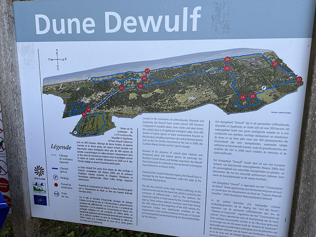 Dune Dewulf