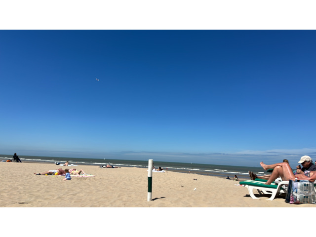 zee_de_haan_2026
